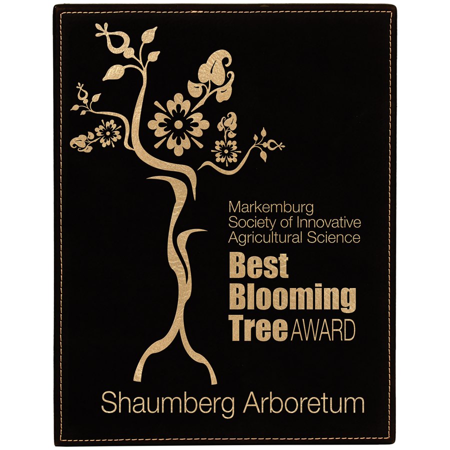Engraved Leatherette Plaque - Black/Gold / 7 x 9 in