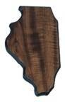 Engraved Walnut Finish Black Edge Illinois State Plaque - 6 x 10 1/2 in