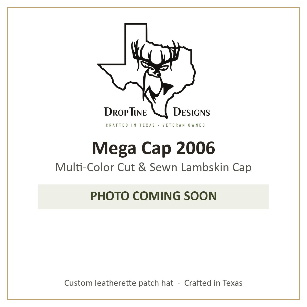 Photo coming soon: Mega Cap 2006 Multi-Color Cut & Sewn Lambskin Cap