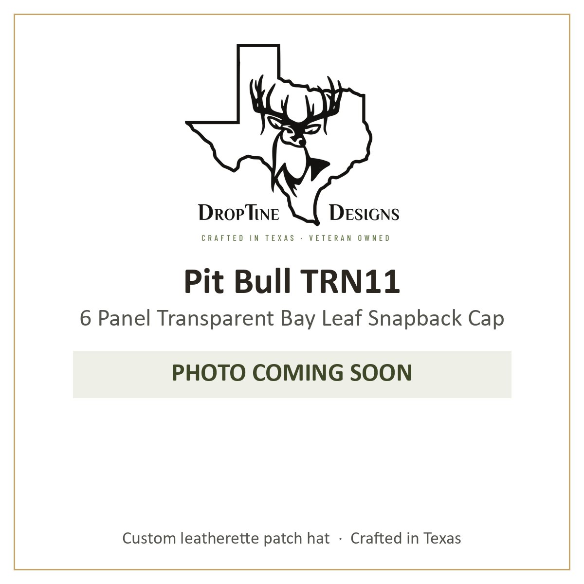 Photo coming soon: Pit Bull TRN11 6 Panel Transparent Bay Leaf Snapback Cap
