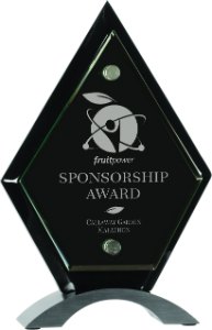 Engraved Diamond Piano Finish Floating Jade Glass Standup - Black / 8 1/2 in