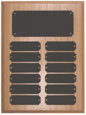 Engraved Oak Finish Perpetual Plaque - 9 x 12 in (12 plates)