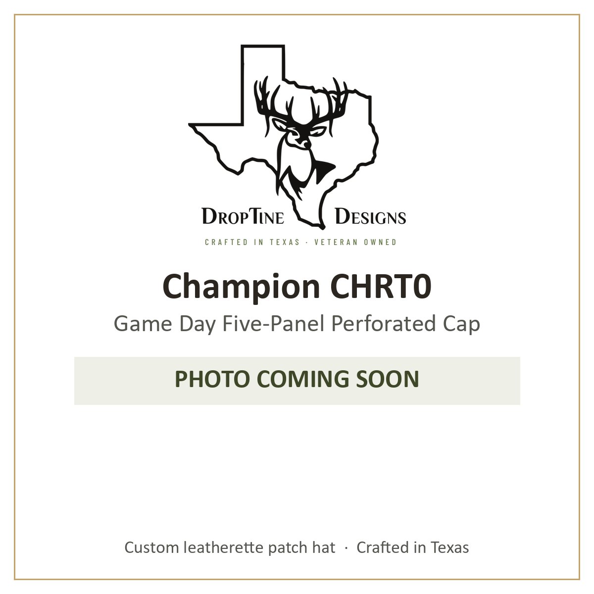 Photo coming soon: Champion CHRT0 Game Day Five-Panel Perforated Cap