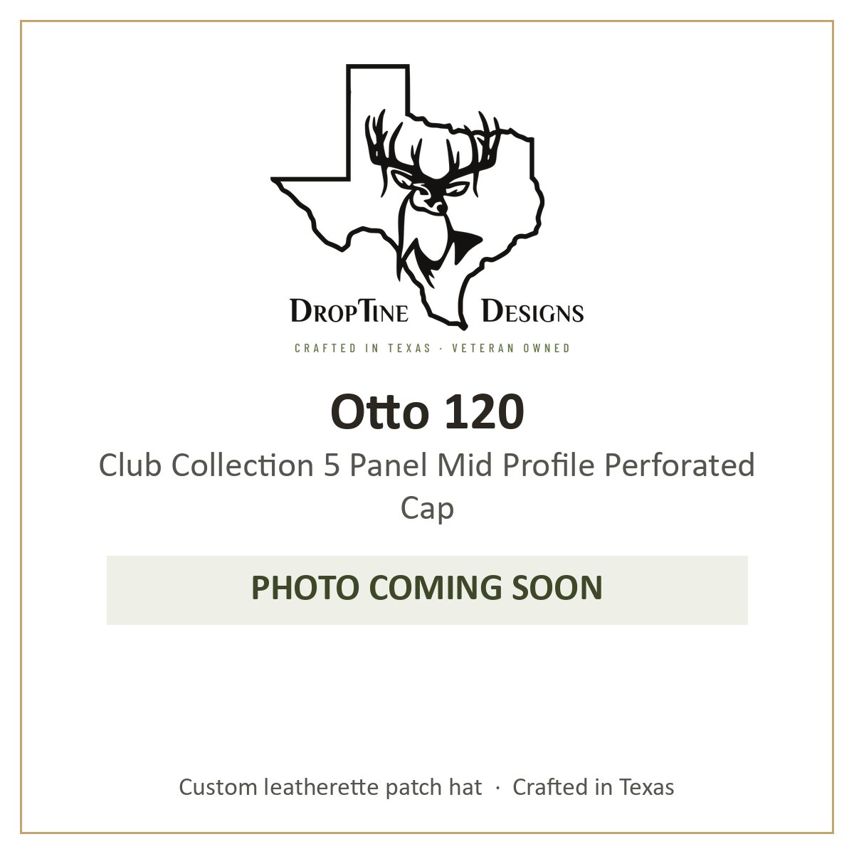 Photo coming soon: Otto 120 Club Collection 5 Panel Mid Profile Perforated Cap