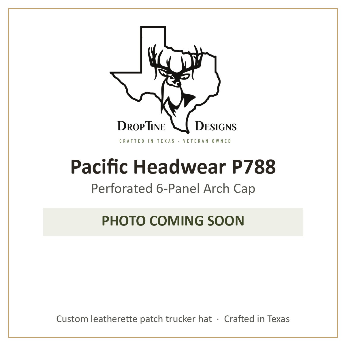 Photo coming soon: Pacific Headwear P788 Perforated 6-Panel Arch Cap