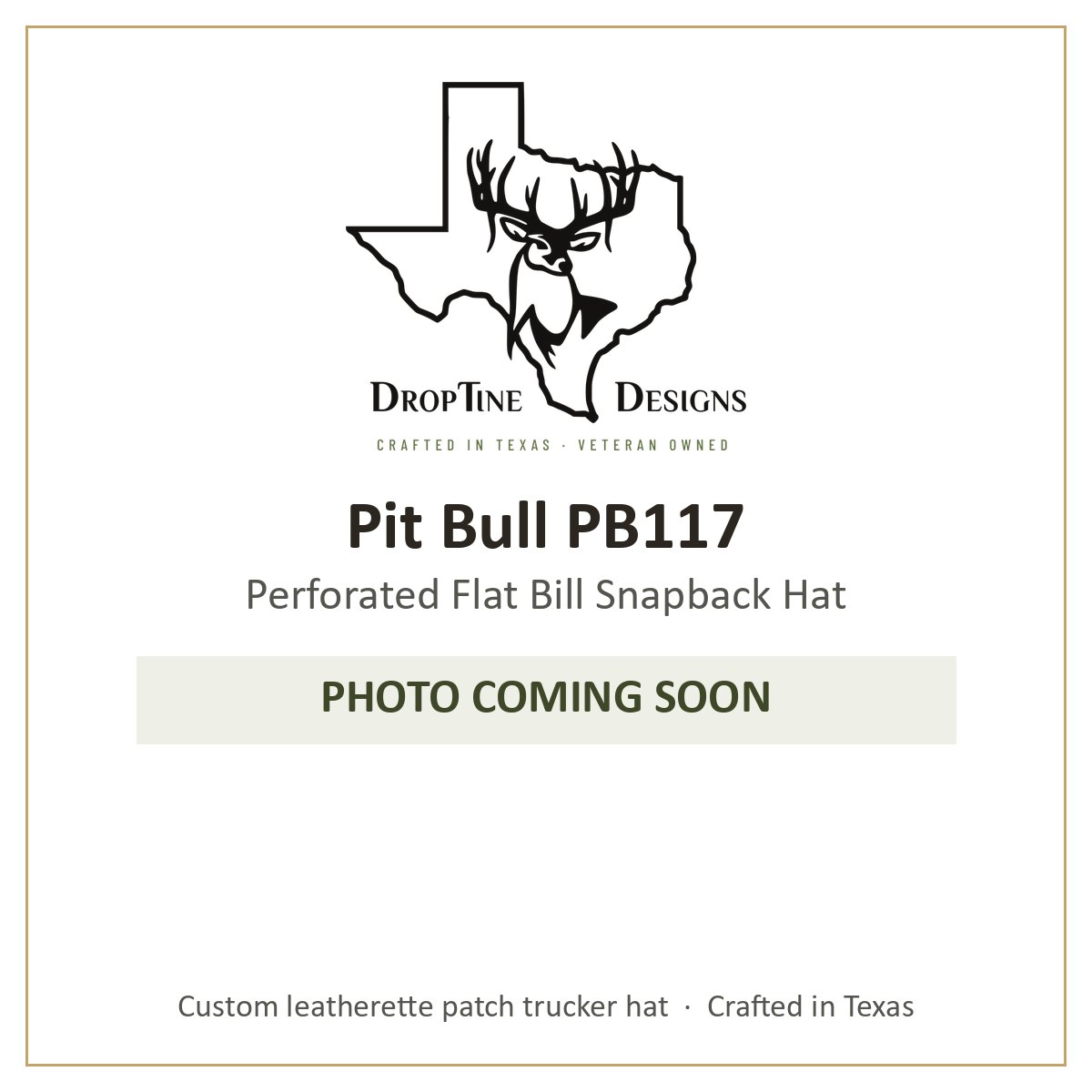 Photo coming soon: Pit Bull PB117 Perforated Flat Bill Snapback Hat