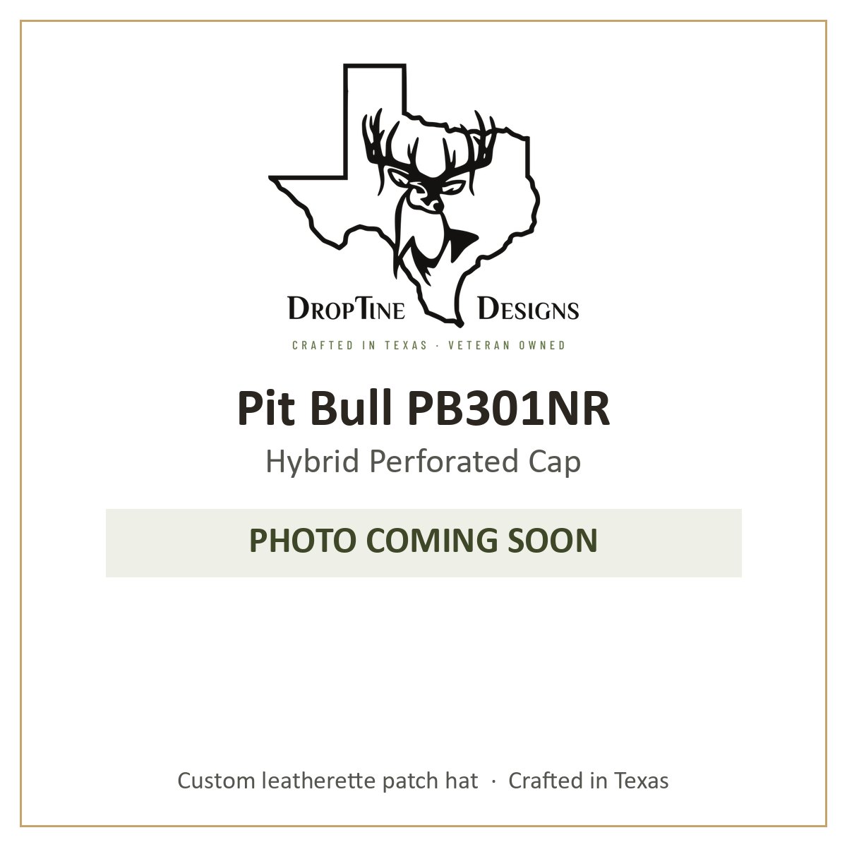 Photo coming soon: Pit Bull PB301NR Hybrid Perforated Cap