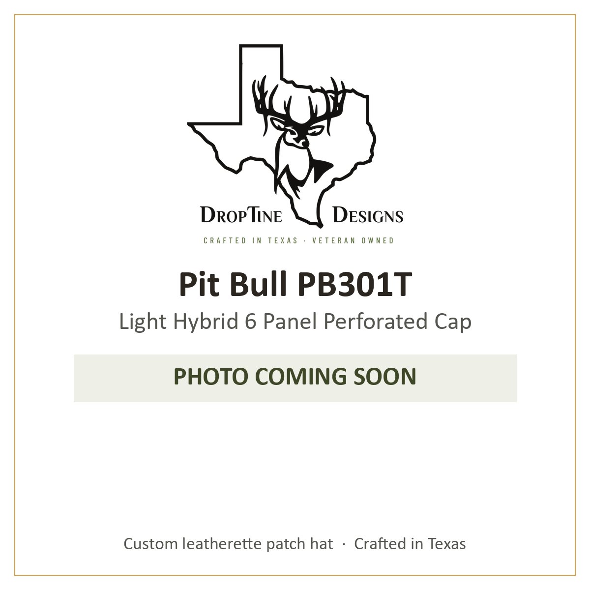 Photo coming soon: Pit Bull PB301T Light Hybrid 6 Panel Perforated Cap