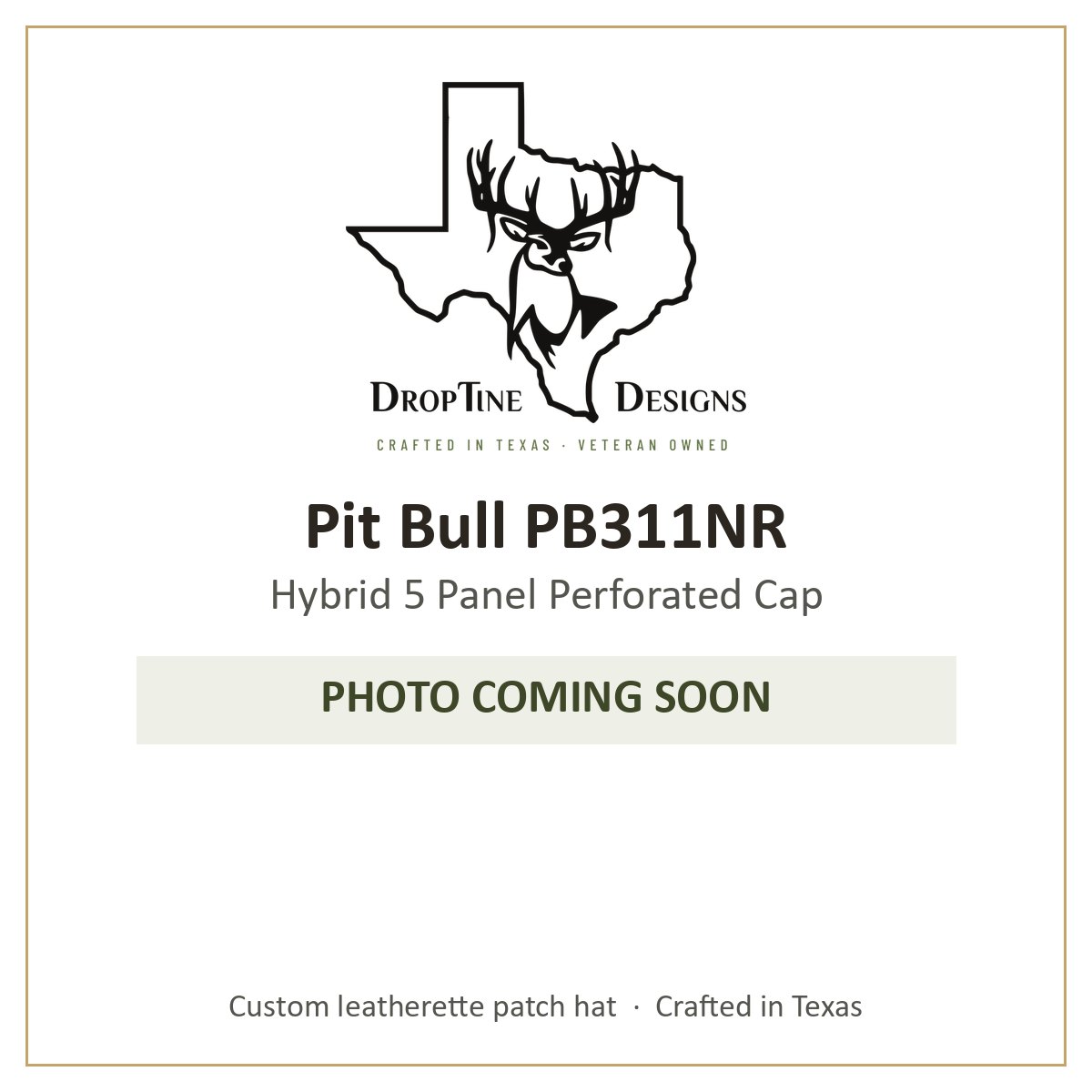 Photo coming soon: Pit Bull PB311NR Hybrid 5 Panel Perforated Cap