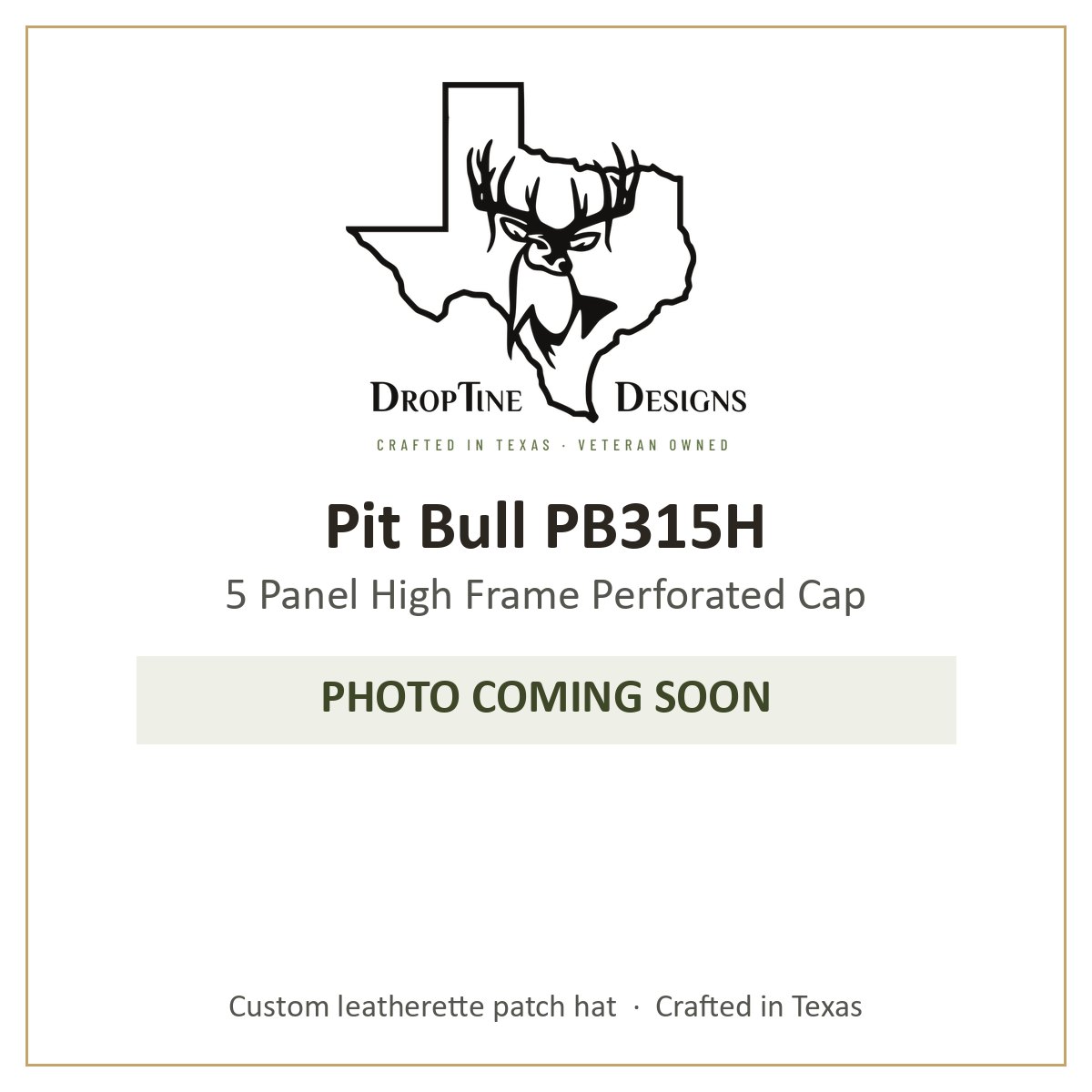 Photo coming soon: Pit Bull PB315H 5 Panel High Frame Perforated Cap