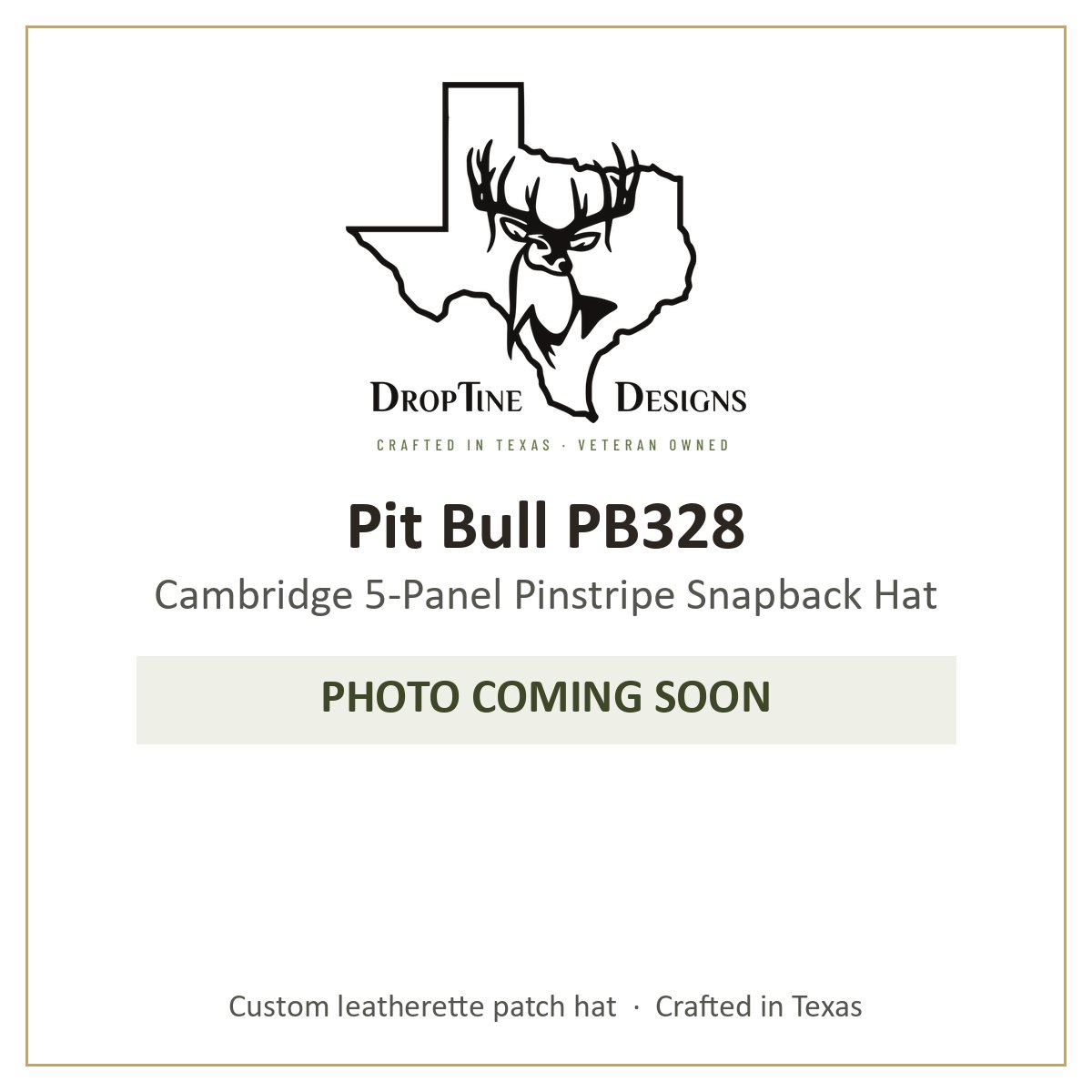 Photo coming soon: Pit Bull PB328 Cambridge 5-Panel Pinstripe Snapback Hat